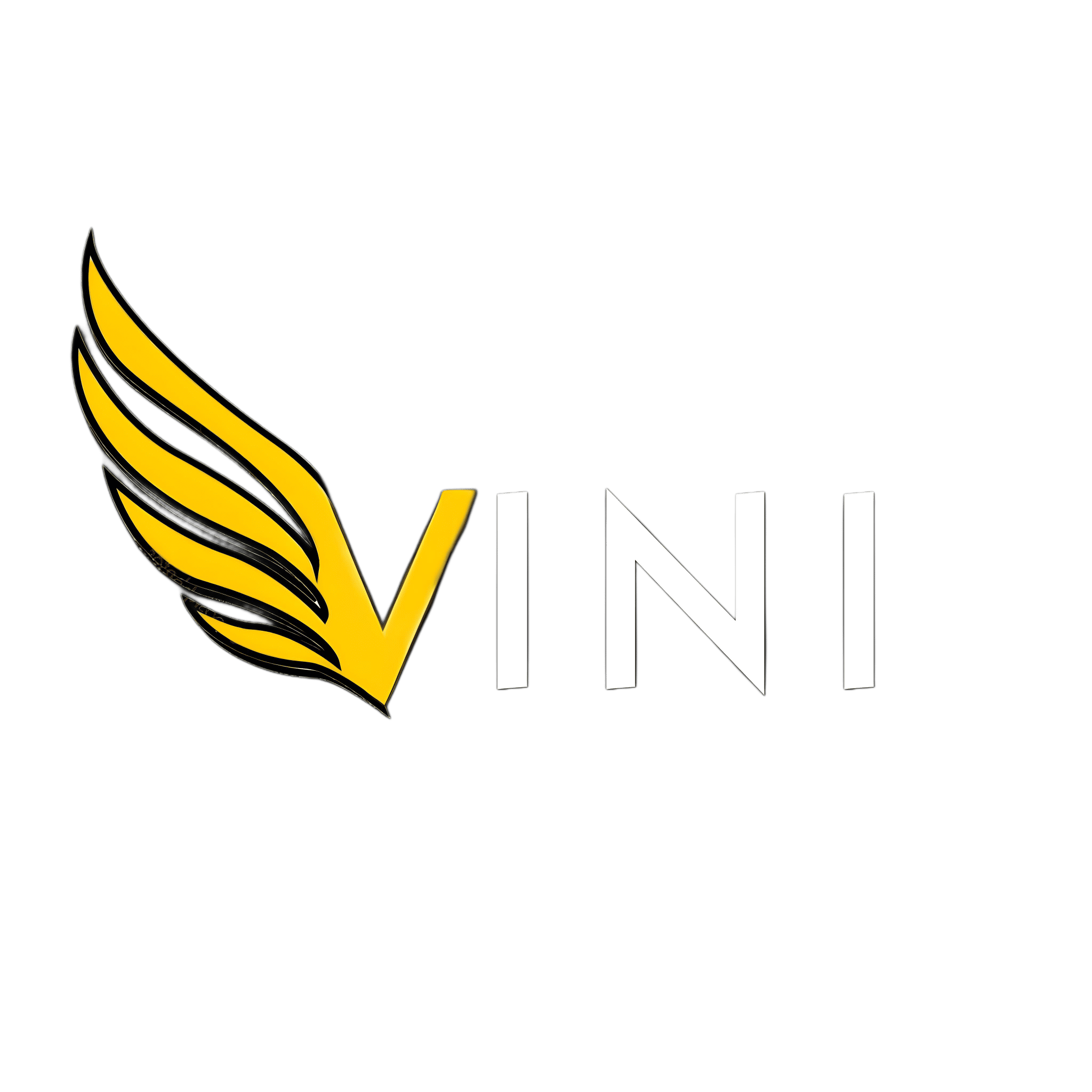 Team VINI Logo